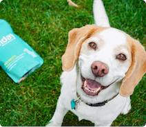 A happy white-and-brown dog sits on a lawn next to a pouch of fertilizer